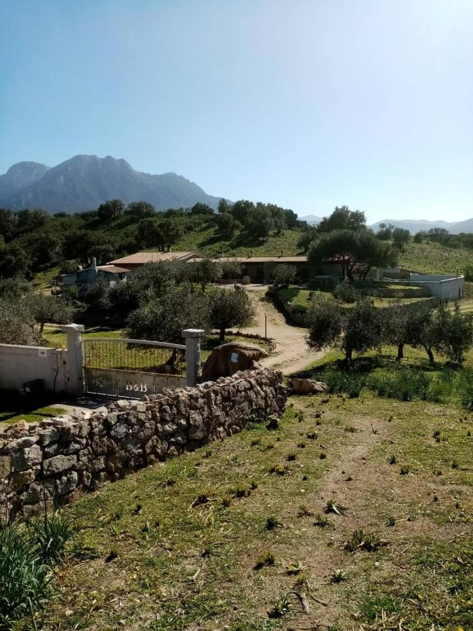 B&B Sa Mendula Oliena Exteriér fotografie