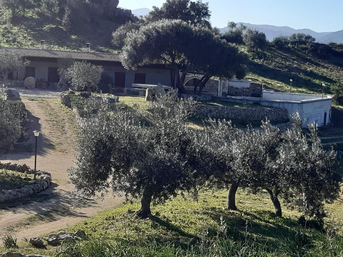 B&B Sa Mendula Oliena Exteriér fotografie